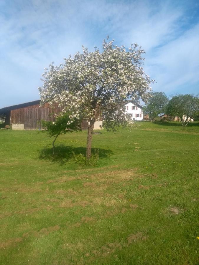 La Maison De Pescate Souprosse Exterior foto